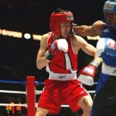 Sportedző (ökölvívás sportágban) 2026.10.30