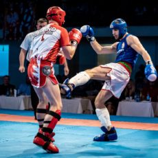 Sportedző (kick-box sportágban) 2026. 10.30.